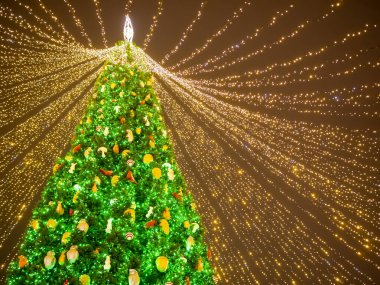 Kiev 'deki Sofievskaya Meydanı' nda Yeni Yıl ve Noel 'in dışındakiler. Aydınlatma ve oyuncaklarla süslenmiş Noel ağaçları.    