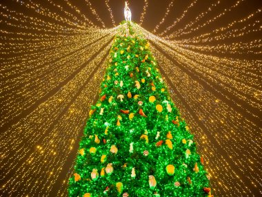 Kiev 'deki Sofievskaya Meydanı' nda Yeni Yıl ve Noel 'in dışındakiler. Aydınlatma ve oyuncaklarla süslenmiş Noel ağaçları.    