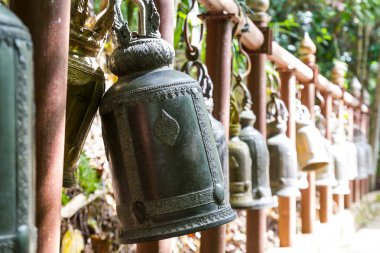 Tay çan wat pra tad doi tung