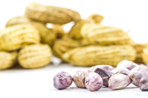 Boiled peanut — Stock Photo, Image