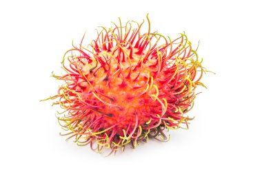 Rambutan tropikal meyve