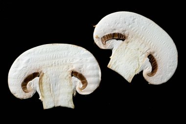 Siyah arka planda şampiyonlar. Dilimlenmiş taze çiğ mantar.