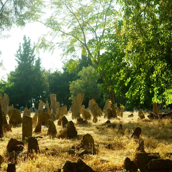 Παλιό Κοιμητήριο Στο Δάσος — Φωτογραφία Αρχείου