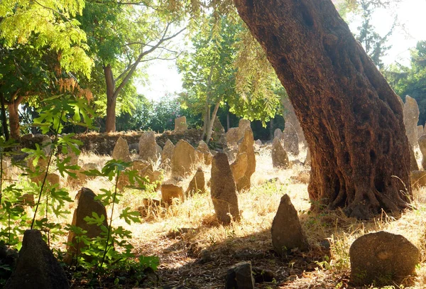 Alter Friedhof Wald — Stockfoto