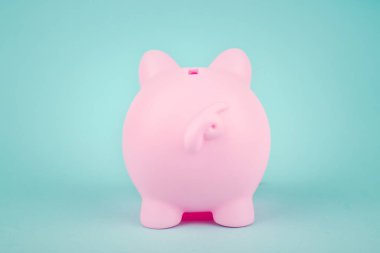 Finans, bankacılık, tasarruf hesabı. Beyaz arka planda domuz kumbarasının arka görüntüsü. Pembe Kumbara Sırtı. Pembe domuz parasının arka penceresinden bak..