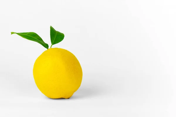 有叶子的柠檬 柠檬果 柑橘最小概念 维生素C — 图库照片