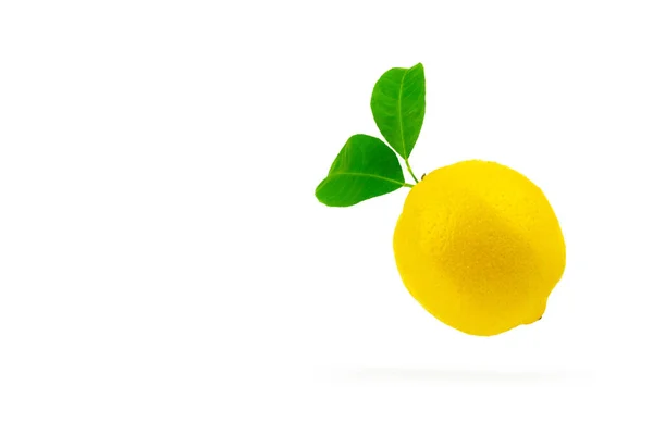 Zitronenfrüchte Mit Blättern Der Luft Tropische Bio Zitronenfrüchte Zitrusfrüchte Vitamin — Stockfoto