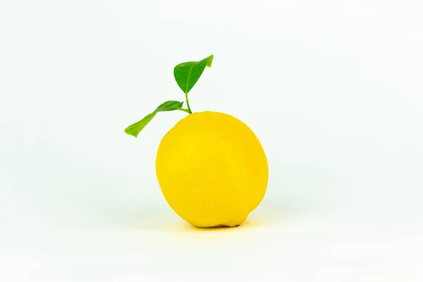 Citroenvruchten Met Blad Witte Achtergrond Citrus Minimaal Concept Vitamine — Stockfoto