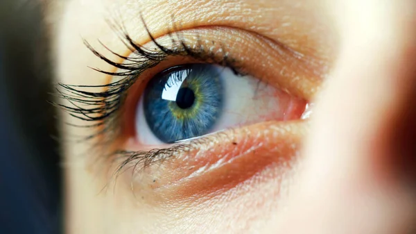 Mavi kadın gözü. İnsan gözü yakın plan.