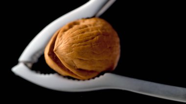 Siyah arka planda fındıkkıran ve ceviz