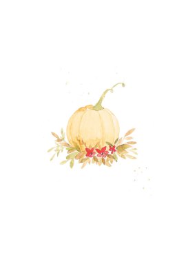 Pumpkin with red flowers and leaves in fall colors.Pumpkins drawn with watercolors.Pretty pumpkins drawn in watercolor to decorate thanksgiving.