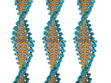 DNA kavramı 