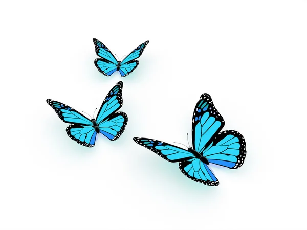 Blue butterfly isolated — Stock Photo, Image