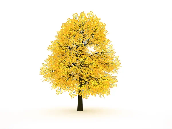 Trees with yellow leaf — Stock Photo, Image