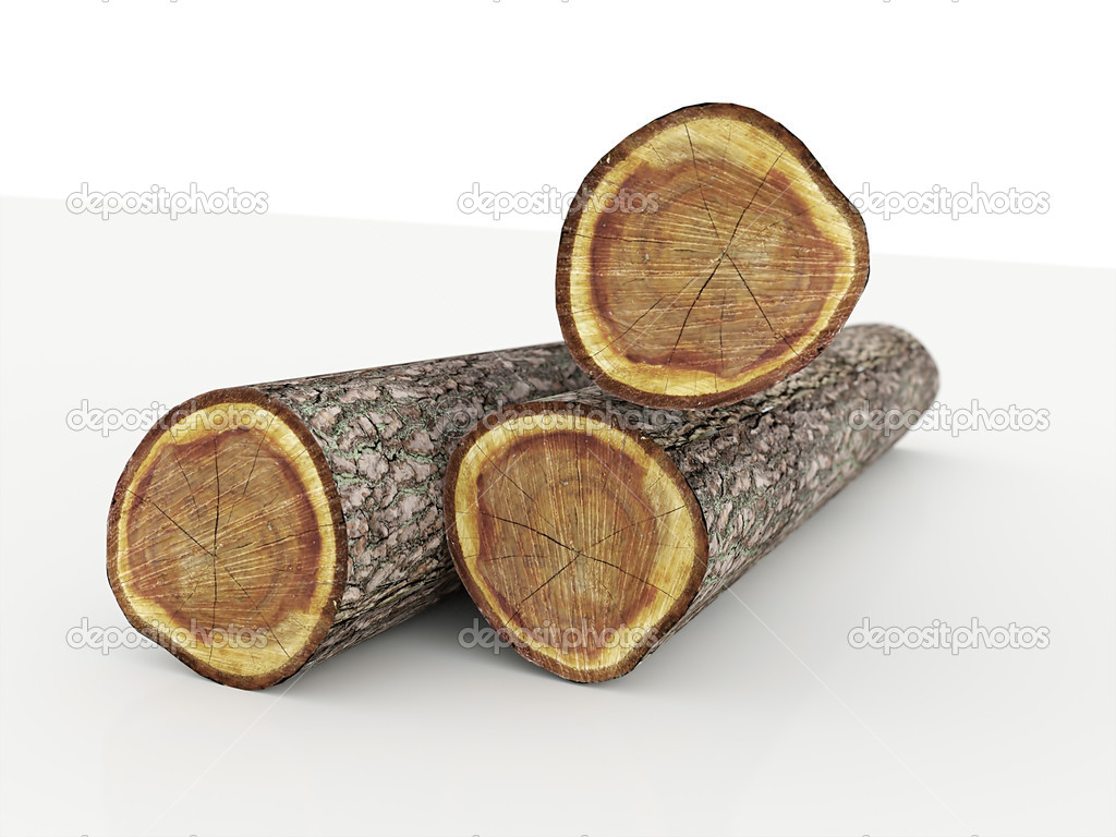Tree trunks isolated