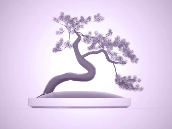 Bonsai tree weergegeven op paars — Stockfoto