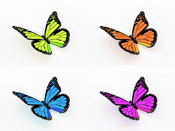 Four colored butterfly — Stock Photo, Image