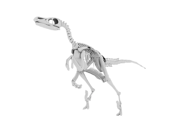 Squelette de dinosaure — Photo