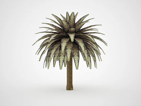 Palmeira renderizada — Fotografia de Stock