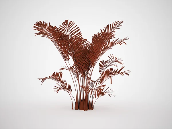 Piccola palma rossa — Foto Stock