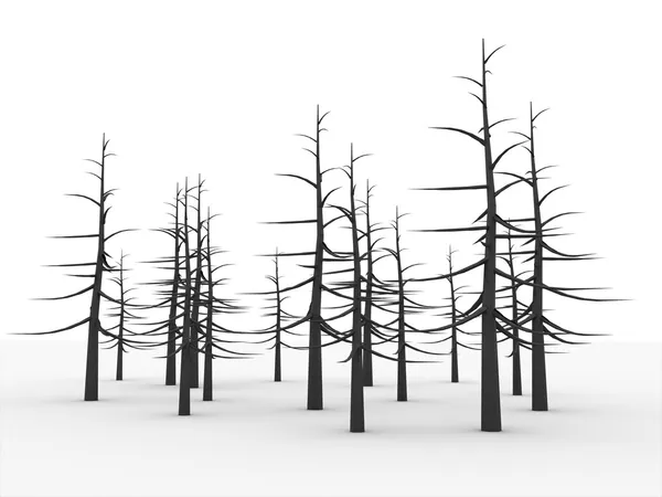 Forest with trees without leaves — Stock Photo, Image