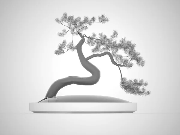 Zwart-wit bonsai — Stockfoto