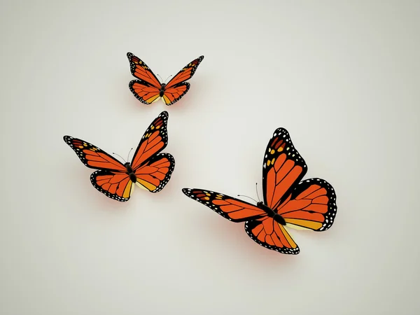 Orange butterfly — Stock Photo, Image