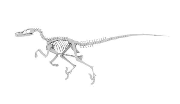 Dinosaurie skelett begrepp återges — Stockfoto