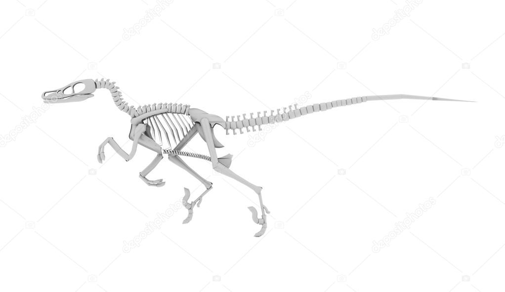 Dinosaur skeleton concept rendered 