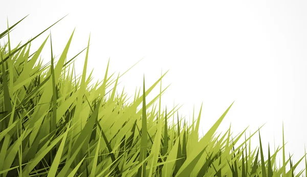 Conceito de grama no fundo branco — Fotografia de Stock
