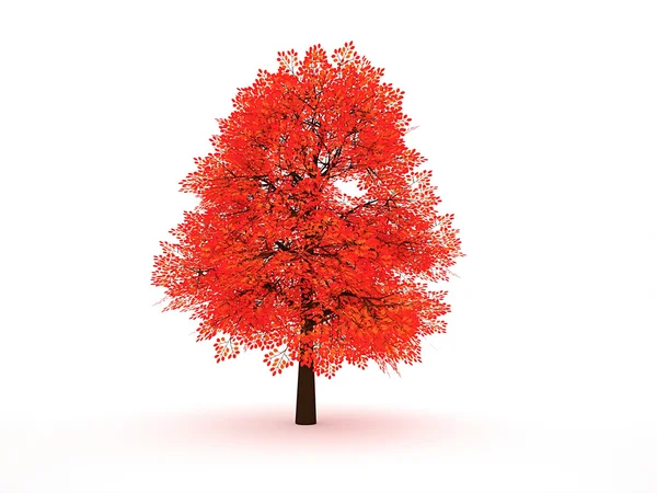 Albero rosso — Foto Stock