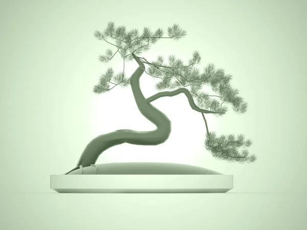Asian bonsai tree on green — Stock Photo, Image