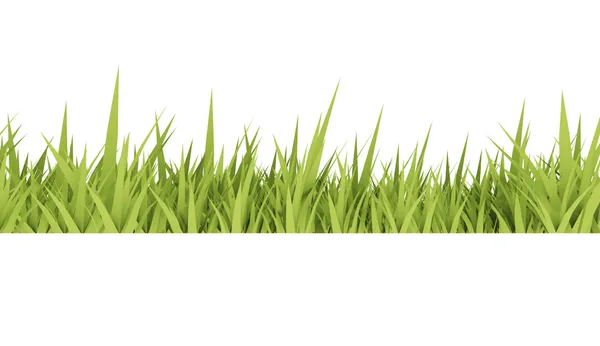 Concepto de hierba sobre fondo blanco — Foto de Stock