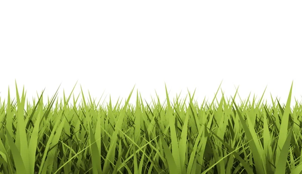 Grass concept card rendered — Stock Photo, Image