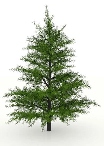 Pine tree rendered — Stock Photo, Image