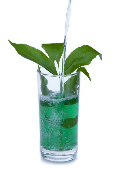 Grønn cocktail – stockfoto