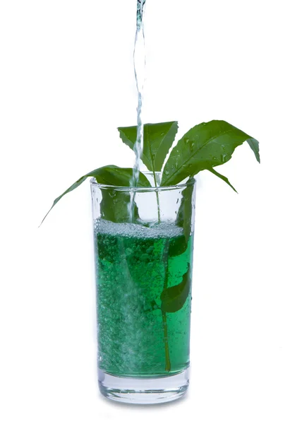 Green cocktail — Stock Photo, Image