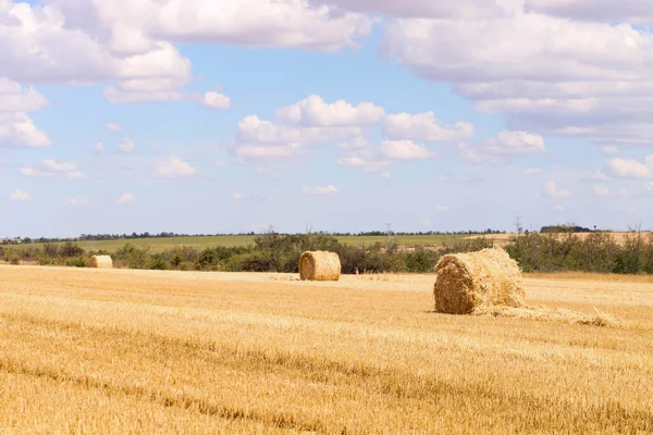 Haystack in field on summer day. Harvesting.