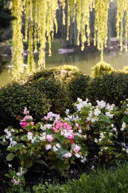 Göldeki güzel çiçek tarhı. Peyzaj.