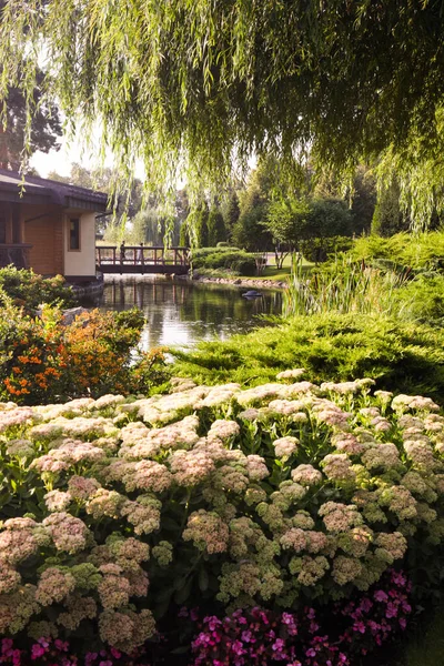 Beautiful flower bed on the lake. Landscaping of the estate.