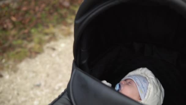 Kindheit, Kindheit, Winter. Nahaufnahme Kleines Baby schläft in warmer Daunenjacke im schwarzen Kinderwagen. Mutter geht schlafenden Säugling im Kinderwagen im Hof bei kaltem Herbstwetter draußen im Straßenpark ein — Stockvideo