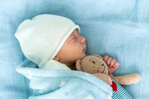 Close-up de Retrato de Rosto de Bebê Recém-Nascido Primeiros Dias Dormindo Com Urso Tady Em Fundo Azul. Criança no início minutos de vida no chapéu. Bebês, Parto, Primeiros Momentos de Borning, Princípio de Início. — Fotografia de Stock