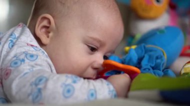 Yenidoğan Aktif Bebek Sevimli Gülümseyen Dişsiz Yüz Portresi Mide Gelişen Boyun Kontrolü Üzerine İlk Günler. 5 aylık çocuk oyun parkında oyuncakları kemiriyor. Kameraya bak. Bebek, Doğum, Başlangıç Konsepti