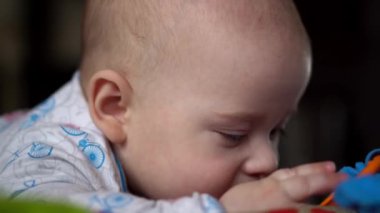 Yenidoğan Aktif Bebek Sevimli Gülümseyen Dişsiz Yüz Portresi Mide Gelişen Boyun Kontrolü Üzerine İlk Günler. 5 aylık çocuk oyun parkında oyuncakları kemiriyor. Kameraya bak. Bebek, Doğum, Başlangıç Konsepti