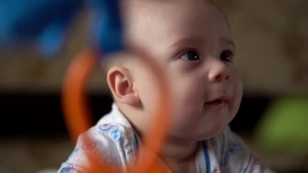 Новорожденный Активный Baby Cute Smiling Беззубый Портрет Фейса Ранние дни на контроле развития шеи желудка. 5 месяцев ребенок в Playpen Gnaws игрушки Посмотрите на камеру. Младенец, ребенок, начало жизни — стоковое видео
