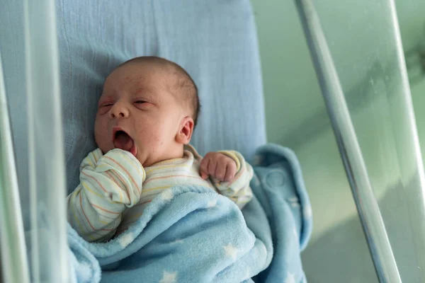 Awake Newborn Baby Face Portrait Acne Irritações alérgicas Early Days Grimace Chorando em fundo azul. Criança começa minutos de vida. Bebês, Parto, Primeiros Momentos de Borning, Princípio de Início. Imagem De Stock