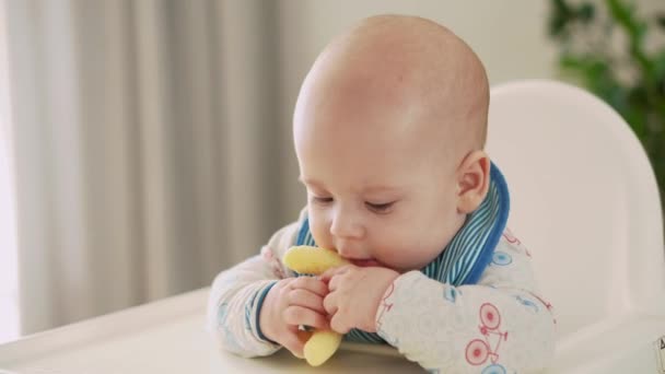 Мама годує маленьку дитину в білому годівлі на високому стільці, перше доповнення овочевого пюре Щасливий усміхнений дитина їсть в перший раз, дитина з брудним обличчям, маленький хлопчик їсть кашель харчування — стокове відео