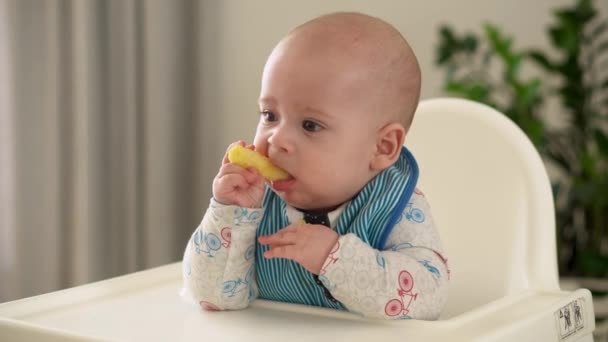 Mãe alimenta o bebê jovem em branco alimentando-se de cadeira alta, primeiro suplemento purê de legumes Criança sorridente feliz comer pela primeira vez, criança com rosto sujo, menino pequeno comendo nutrição mingau de cereal — Vídeo de Stock