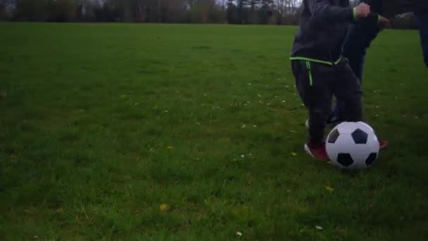 Pai e pequeno filho malabarismo competir preto e branco clássico bola de futebol. As pessoas entram para o desporto. Jovem a jogar futebol. Equipe da família feliz ter gastar tempo no parque. Vida saudável, Campeonato — Vídeo de Stock