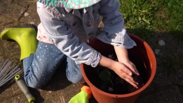 Mutlu okul öncesi küçük kız çocuğu iş eldivenleri giyer bahçedeki saksıya çiçek eker. Çocuk annesine dışarıda yardım ediyor. Aile Doğa Gargara, Çevresel Bahar Yaz Konsepti — Stok video